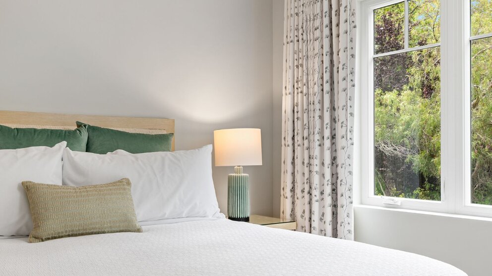 Views of Eucalyptus Trees from Bed