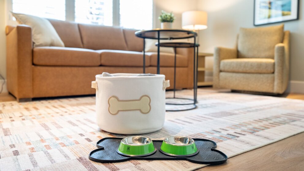 Dog Friendly Accommodations