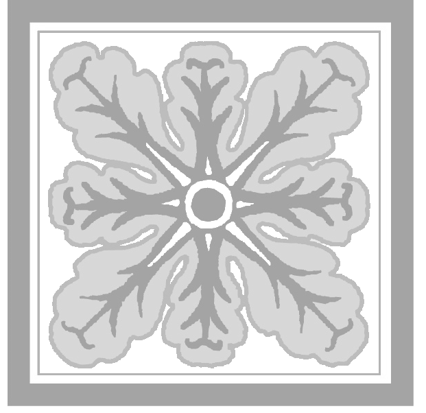 Avila Village Logo No Text